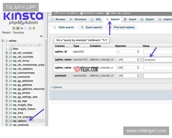 如何应对AC米兰官网注册时遇到的电话号码错误问题及快速修复技巧