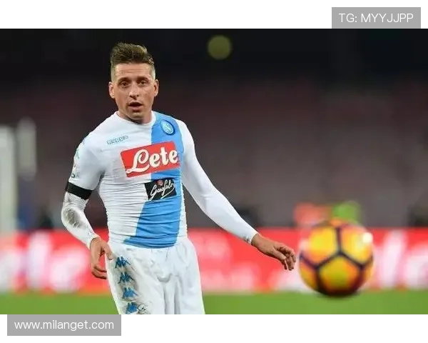 米兰体育娱乐官网入口：详细介绍安全登录流程与常见问题解决方案