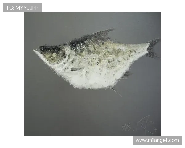 博鱼官网下载apk官方渠道，确保游戏安全无病毒的下载指南